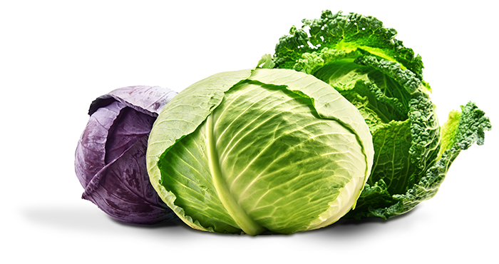 cabbage