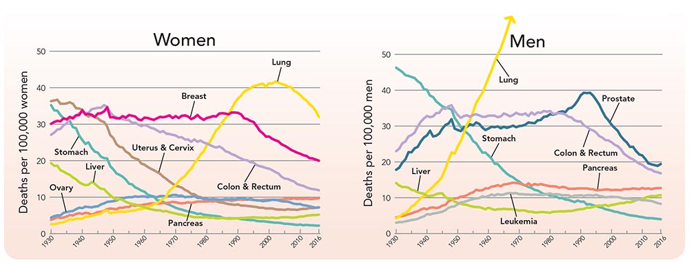 Lung cancer death rates in both men and women are dropping, but the disease still accounts for about a quarter of all cancer deaths. Uterine and cervical cancers are combined because they were not reported separately until 1973. Source: Cancer Facts & Figures 2019, American Cancer Society.