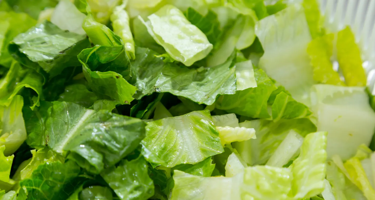 Shredded iceberg lettuce