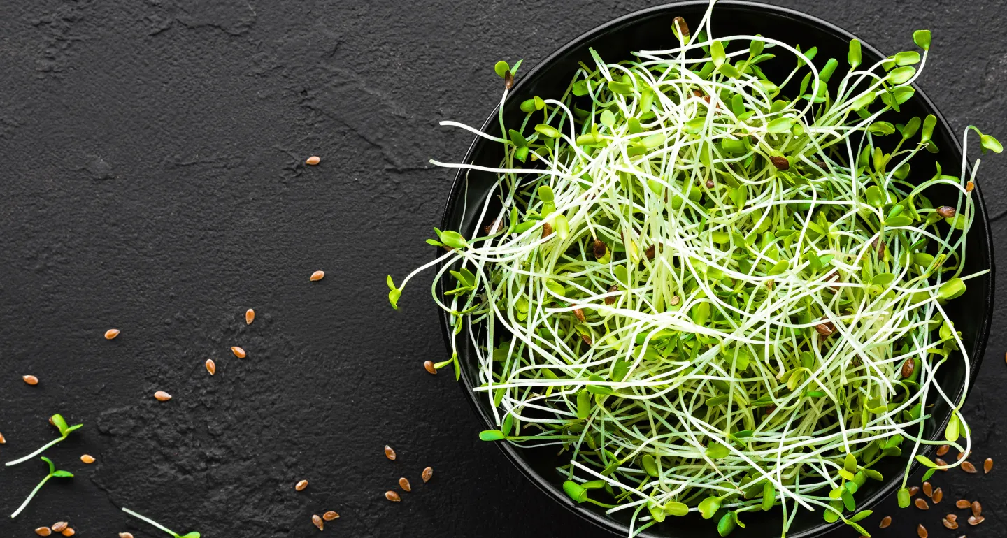 Sprouts