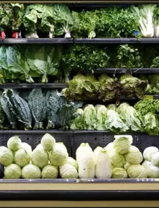 Seasonal produce - a variety of leafy green vegetables for sale at a supermarket, including cabbage (purple and green, Napa, and savoy), kale, collard greens, bok choy and more