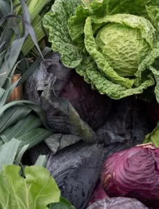 Seasonal produce - Cabbages, collard greens, kale and leeks at a farmer's market in February