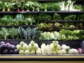Seasonal produce - a variety of leafy green vegetables for sale at a supermarket, including cabbage (purple and green, Napa, and savoy), kale, collard greens, bok choy and more