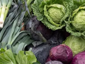 Seasonal produce - Cabbages, collard greens, kale and leeks at a farmer's market in February