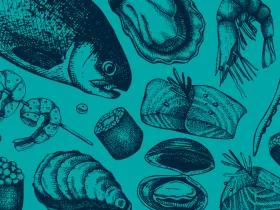 shell sketches on a blue background