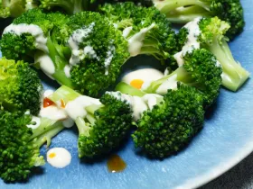 blue plate with broccoli and Caesar sauce