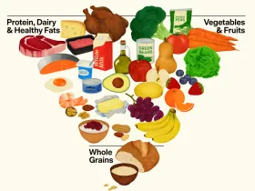 The 2025-2030 DGA inverted food pyramid