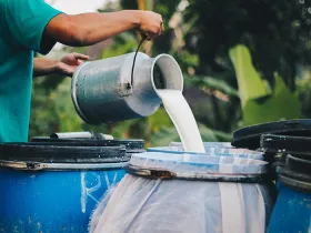 Raw milk being poured into a container