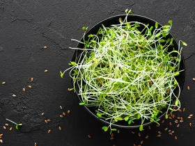 Sprouts