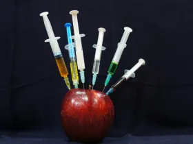 An apple with syringes sticking out of it.