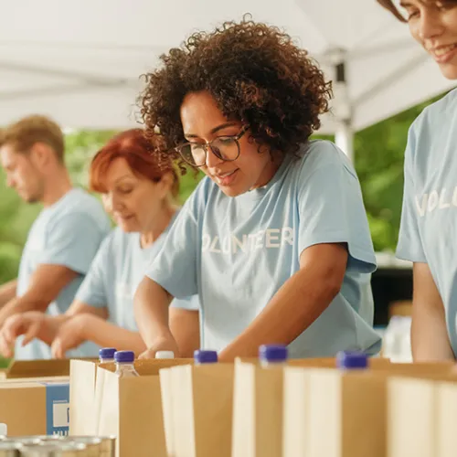 Food bank volunteers organizing food products