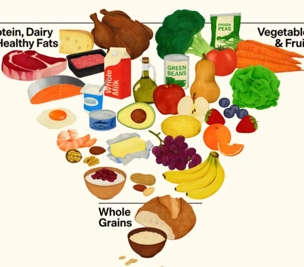 The 2025-2030 DGA inverted food pyramid