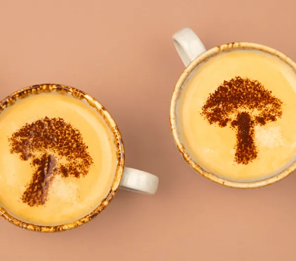 flat lay of mugs with mushroom shaped art