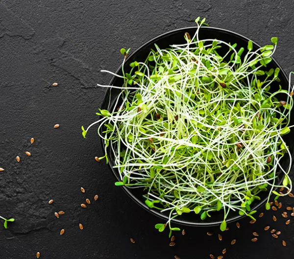 Sprouts