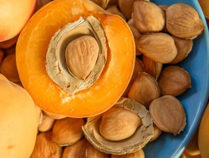A halved apricot with exposed kernel in a bowl of apricot seeds and shells