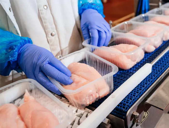 raw chicken in a processing plant