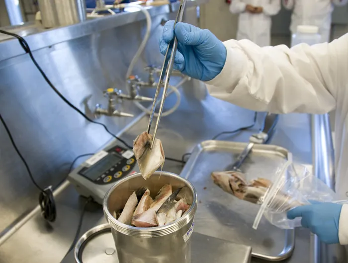 Seafood being inspected by the FDA