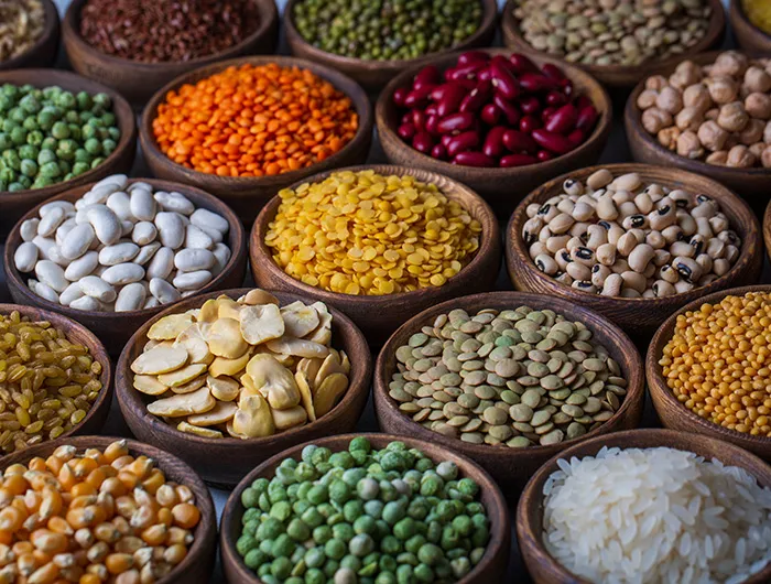Assortment of beans, grains, and lentils