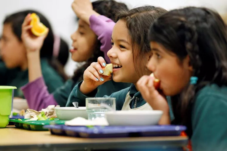 Children eating school lunch healthy