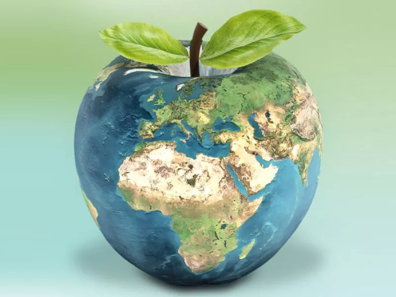 globe shaped like apple