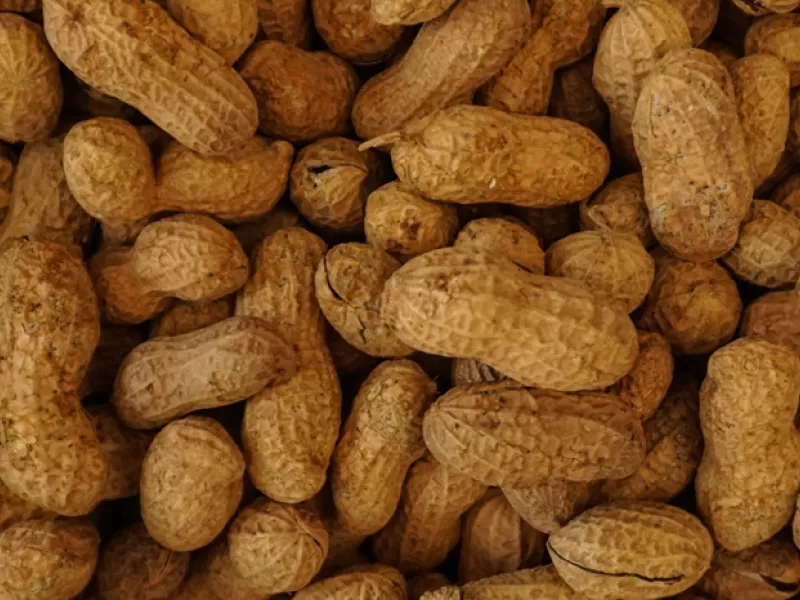 peanuts
