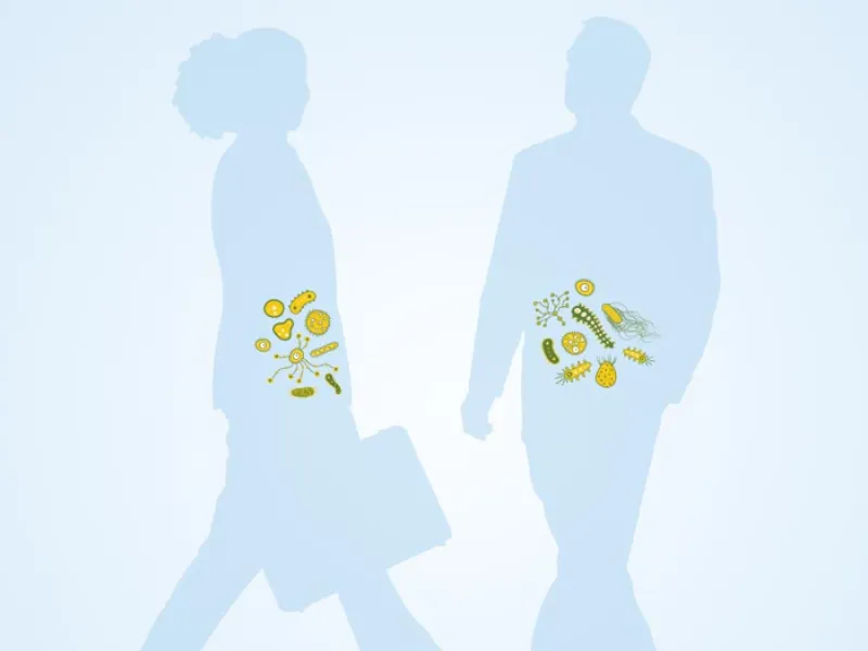 illustration of a man's and a woman's gut microbes