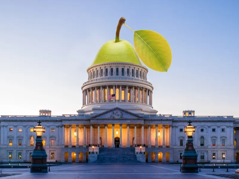 The U.S. Capitol with a pear as the dome