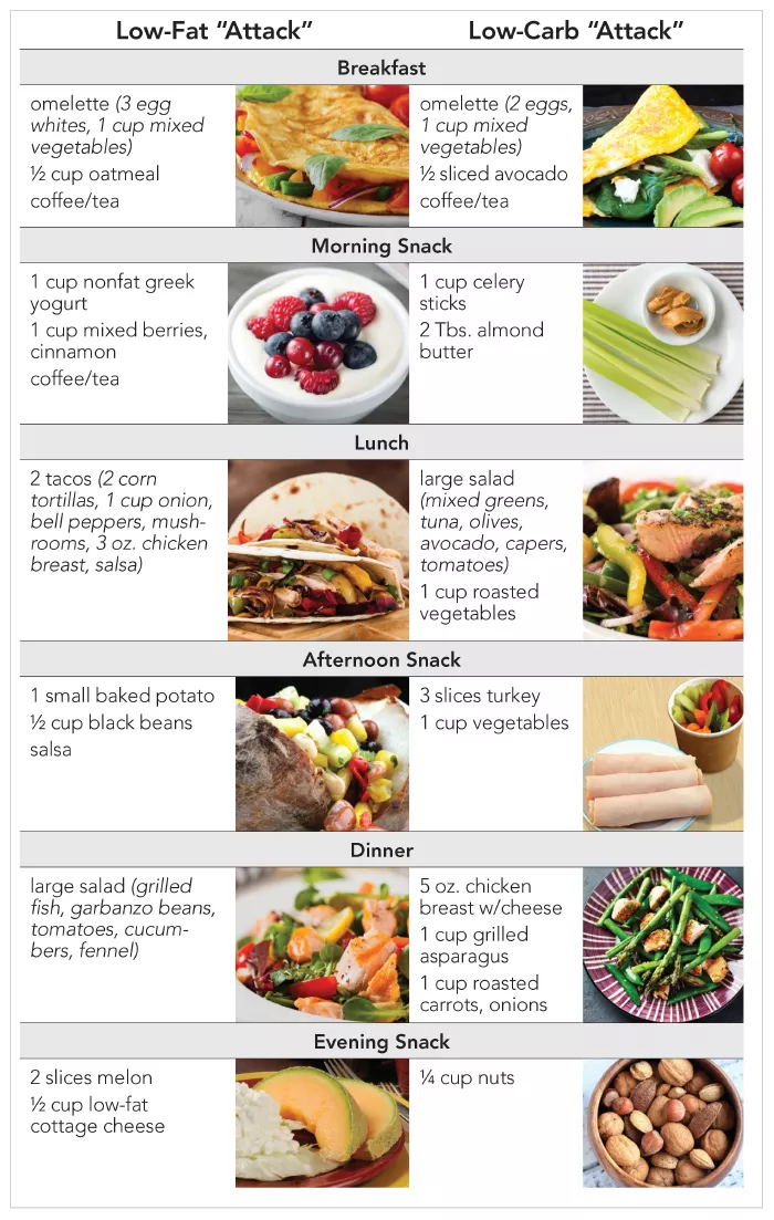 low-fat attack vs low-carb attack