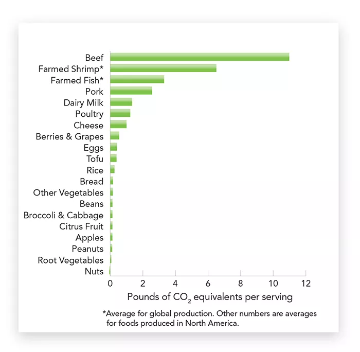 CO2 equivalents for foods