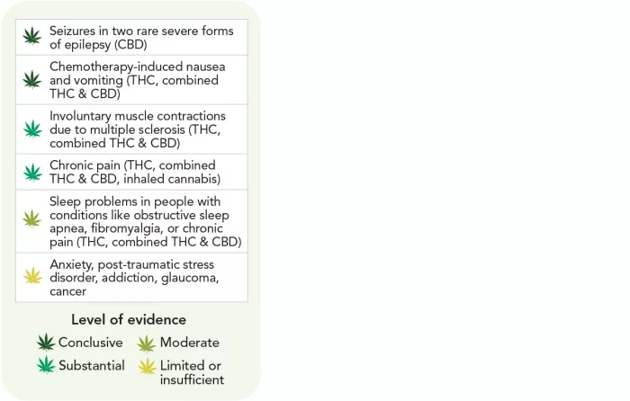 cannabis chart