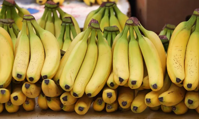Seasonal produce - bananas for sale at a supermarket
