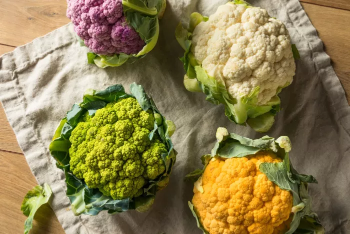 Cauliflower flat lay with white, green, purple and orange cauliflower on a cotton towel and wooden table.