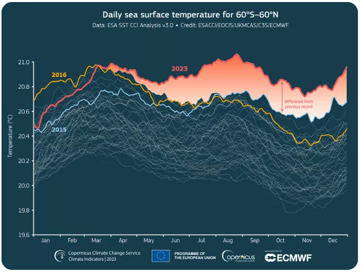 graph of daily sea surface temperature over 2023 on a navy blue background