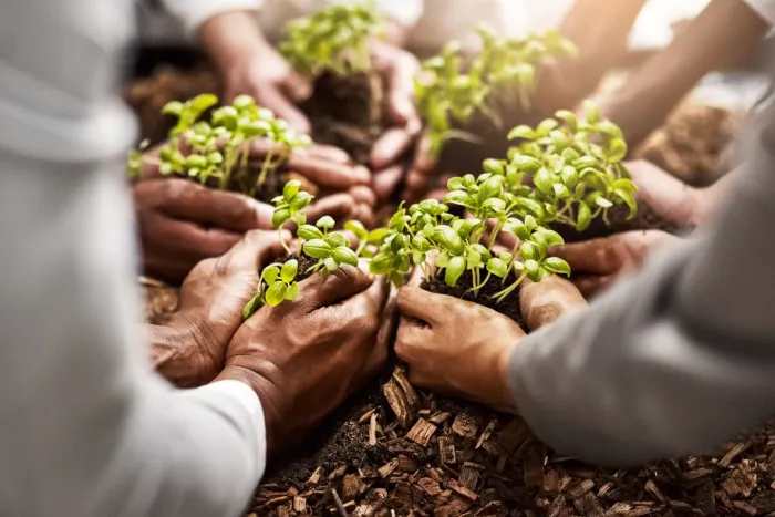 Many hands holding soil and seedlings form a circle