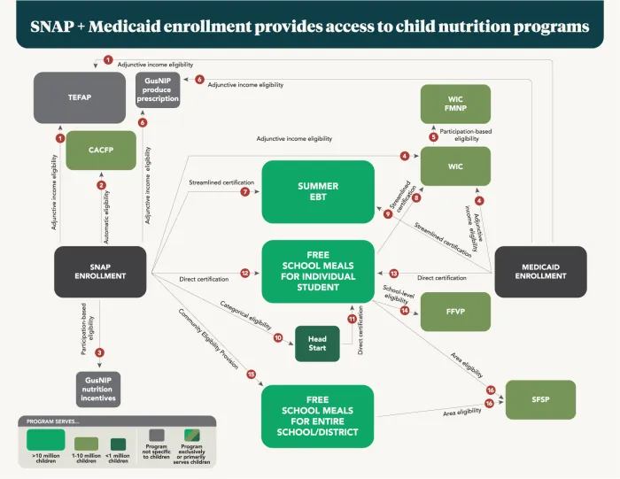 SNAP CN eligibility diagram