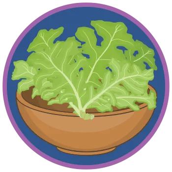 cartoon bowl with salad greens