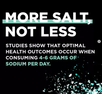 screenshot from LMNT website