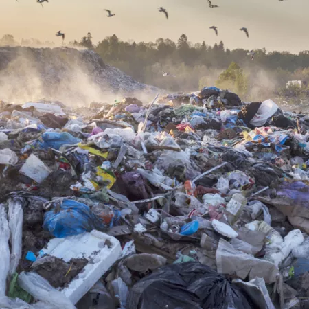 trash in landfill with birds flying overhead