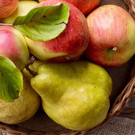 bowl of apples and pears