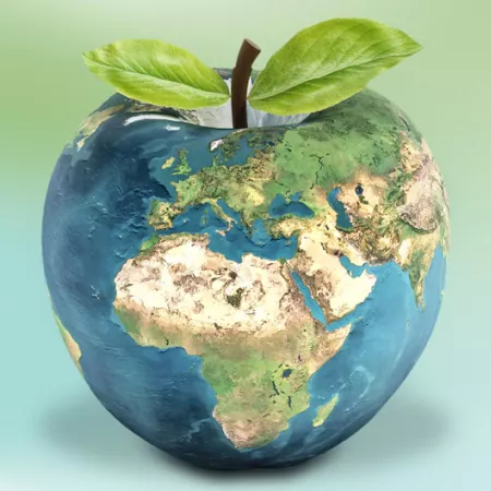 globe shaped like apple