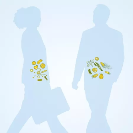 illustration of a man's and a woman's gut microbes