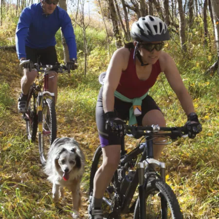 people biking with a dog