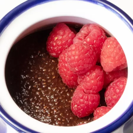 chocolate chia pudding