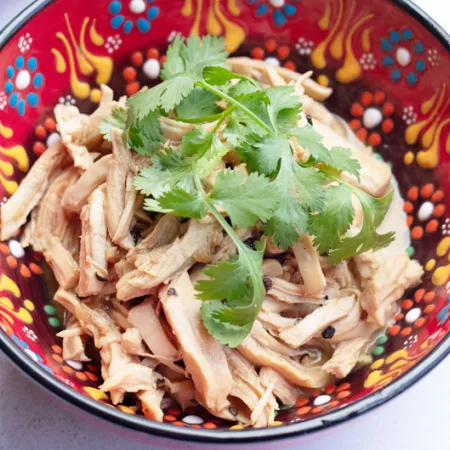 patterned red colorful bowl full of shredded chicken and adobo sauce and garnished with cilantro