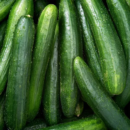 Cucumber background