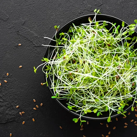 Sprouts