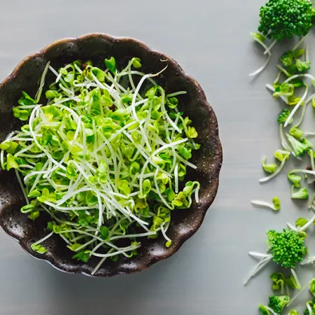 Broccoli sprouts